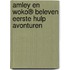 Amley en Woko® beleven eerste hulp avonturen