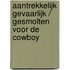 Aantrekkelijk gevaarlijk / Gesmolten voor de cowboy