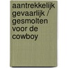 Aantrekkelijk gevaarlijk / Gesmolten voor de cowboy door Sarah M. Anderson