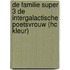 De Familie Super 3 De Intergalactische poetsvrouw (HC kleur)