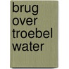 BRUG OVER TROEBEL WATER door Pieter Nelletje
