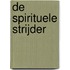 De spirituele strijder