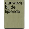 Aanwezig bij de Lijdende door Carine Devogelaere