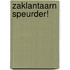 Zaklantaarn speurder!