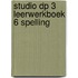 Studio DP 3 leerwerkboek 6 spelling
