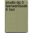 Studio DP 3 leerwerkboek 6 taal