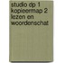 Studio DP 1 Kopieermap 2 lezen en woordenschat