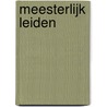Meesterlijk leiden door Tom Kok