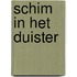 Schim in het duister