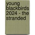 Young Blackbirds 2024 - The Stranded