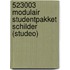 523003 Modulair studentpakket Schilder (Studeo)
