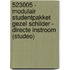 523005 - Modulair studentpakket Gezel Schilder - directe instroom (Studeo)