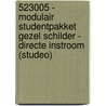 523005 - Modulair studentpakket Gezel Schilder - directe instroom (Studeo) door Savantis