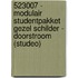 523007 - Modulair studentpakket Gezel Schilder - doorstroom (Studeo)