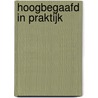 Hoogbegaafd in praktijk by Rianne van de Ven