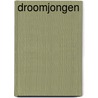 Droomjongen by Danny Steehouwer