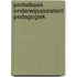 Profielboek Onderwijsassistent Pedagogiek