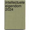 Intellectuele Eigendom 2024 door Onbekend