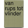 Van rups tot vlinder door Alise Hak