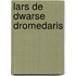 Lars de dwarse dromedaris