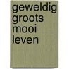 Geweldig groots mooi leven door Emily Henry