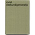 Civiel deskundigenbewijs