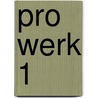 PRO WERK 1 door Nina Lenders