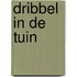 Dribbel in de tuin