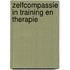 Zelfcompassie in training en therapie