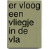 Er vloog een vliegje in de vla
