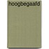 Hoogbegaafd