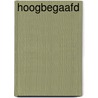Hoogbegaafd by Noks Nauta