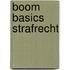 Boom Basics Strafrecht