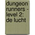 Dungeon Runners - Level 2: De lucht