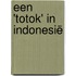 Een 'totok' in Indonesië
