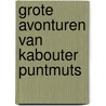 Grote avonturen van kabouter puntmuts door J.R. Krijthe