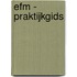 EFM - praktijkgids