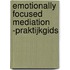 Emotionally Focused Mediation -praktijkgids