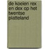 De koeien Rex en Dex op het Twentse platteland