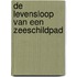 De levensloop van een zeeschildpad