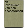 De levensloop van een zeeschildpad by Madeline Tyler