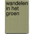 Wandelen in het groen