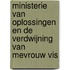 Ministerie van Oplossingen en de verdwijning van mevrouw Vis