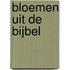 Bloemen uit de Bijbel