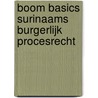 Boom Basics Surinaams burgerlijk procesrecht door F.J.P. Lock