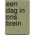 Een dag in ons brein