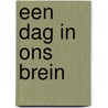 Een dag in ons brein by Eveline Crone