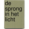 De sprong in het licht door Florette Dijkstra