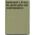 backcard + 6 exx de grote prijs van steentjesdorp