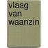 Vlaag van waanzin